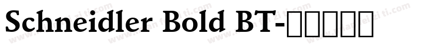 Schneidler Bold BT字体转换